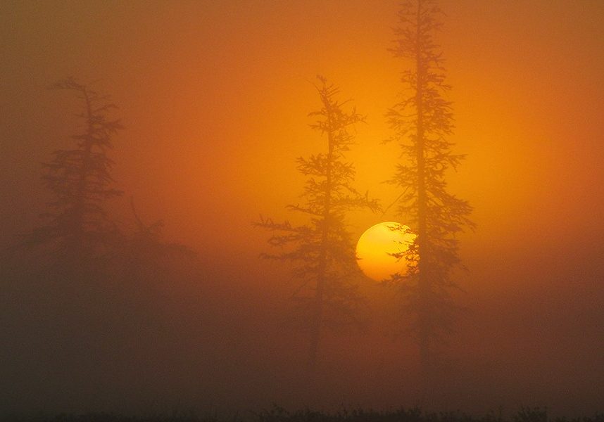 Лаборатория экологических исследований